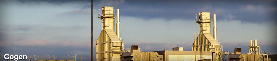 COGEN OTSG