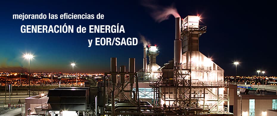 Since 1992 a dedicated team of IST professionals, OTSG (Once Through Steam Generators)